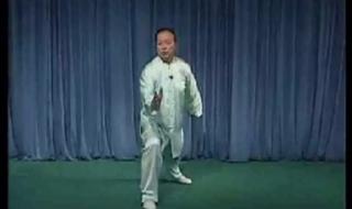 杨氏太极拳24式视频 傅清泉演练的传统杨氏太极拳24式